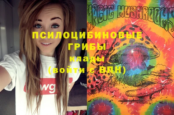 экстази Медвежьегорск