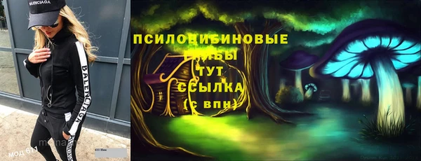 экстази Медвежьегорск