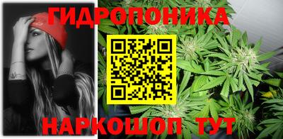 прущие грибы Абакан