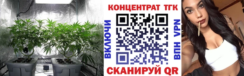 купить  цена  blacksprut ссылка  Дистиллят ТГК концентрат  Прокопьевск 