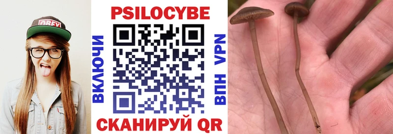 Галлюциногенные грибы Psilocybine cubensis  мориарти официальный сайт  Прокопьевск  hydra как зайти 