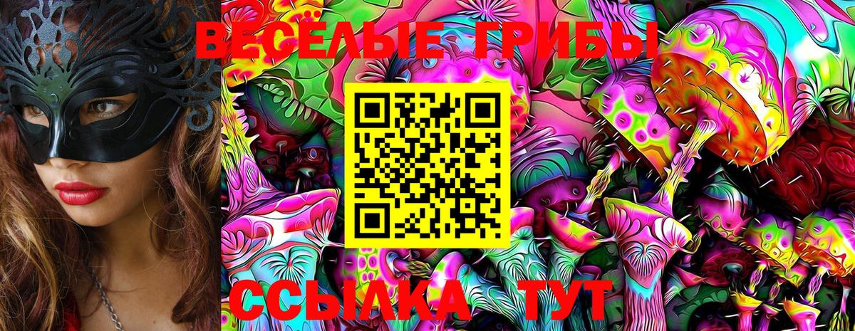 Псилоцибиновые грибы Magic Shrooms  Вход с VPN  Псилоцибиновые грибы Magic Shrooms  Прокопьевск 