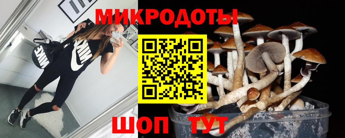 Псилоцибиновые грибы Psilocybine cubensis Прокопьевск