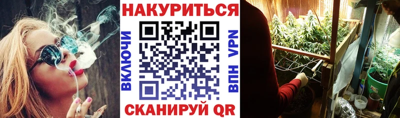 цены   Прокопьевск  MEGA   Бошки Шишки планчик 