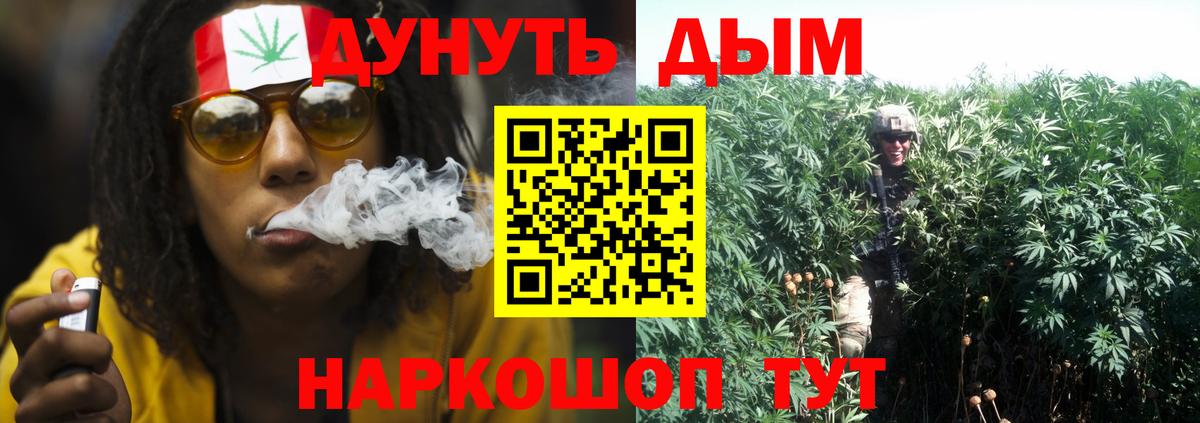 Каннабис ГИДРОПОН  Канабис индика  Прокопьевск  Вход с VPN 